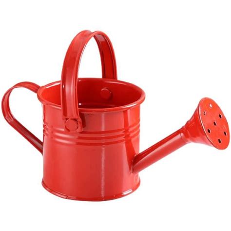 Arrosoir En M Tal Style Vintage Mini Pot D Eau De Jardinage Pour