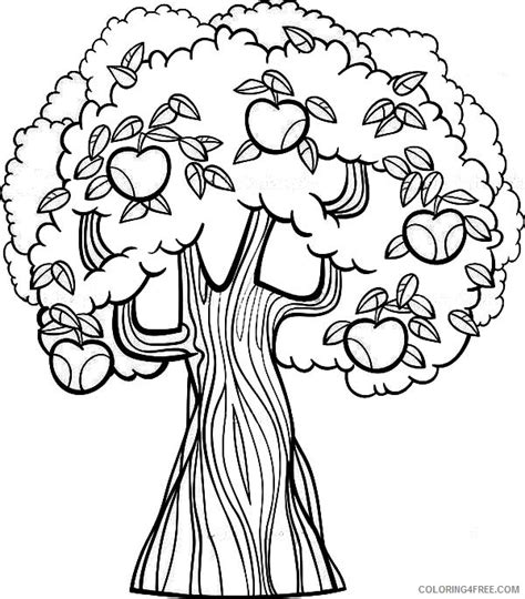 Apple Tree Coloring Pages Printable Coloring4free