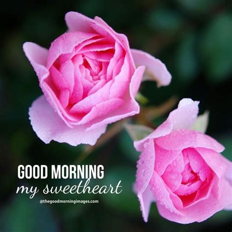 50 Lovable Good Morning Sweetheart Images