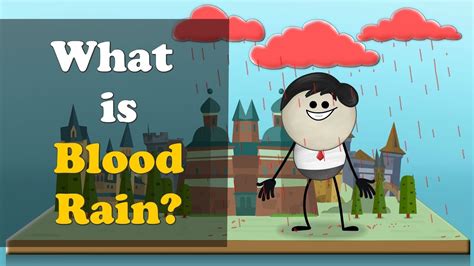 What Is Blood Rain More Videos Aumsum Kids Science Education