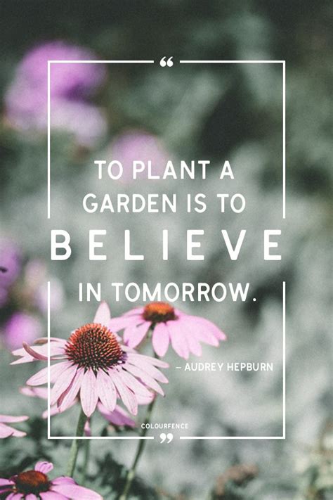 To Plant A Garden Is To Believe In Tomorrow Meaning Garden Racks