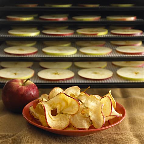Recette au déshydrateur chips de pommes à la cannelle