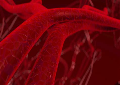 Genes Turned On In Tumor Associated Blood Vessels National Institutes
