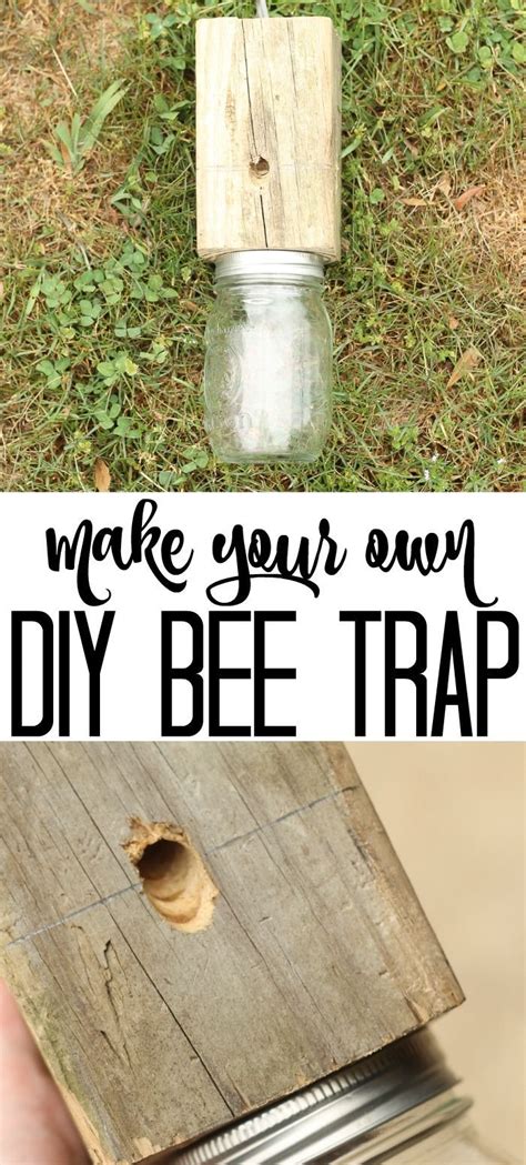 What are carpenter bee traps? Make a Carpenter Bee Trap - Outdoor Diy