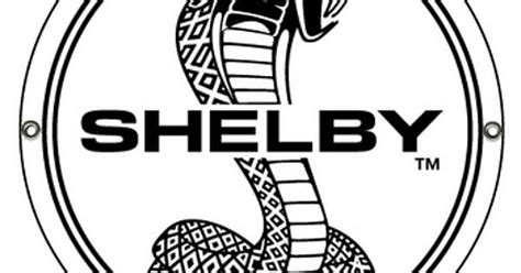 Shelby Imgur