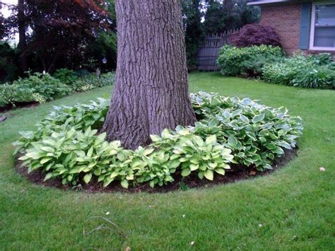 15 Eye Catching Flower Beds Around Trees You Need To See Top Dreamer