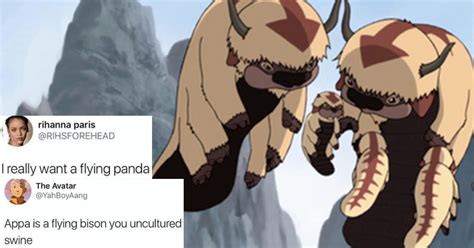 These Will Make You Yip Yip 15 Even Funnier Avatar The Last Airbender