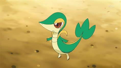 Pokemon Go Did What With Shiny Snivy