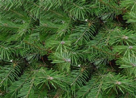 However, evergreen content is what usually forms the backbone of a successful strategy. Common SEO Questions | Search Engine Marketing Blog