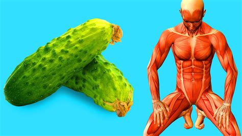 Start Eating A Cucumber A Day See What Happens To Your Body Youtube