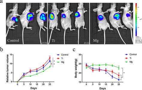 A Bioluminescence Images Of Tumors In Nude Mice Implanted With And
