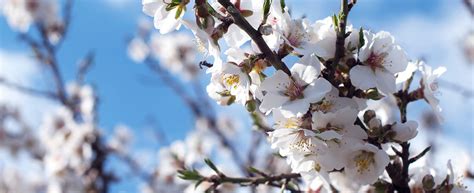 You can send flowers for any occasion including mother's day and valentine's day. Patterson's Flowers Mail / Collection Days Are Today 4 30 ...