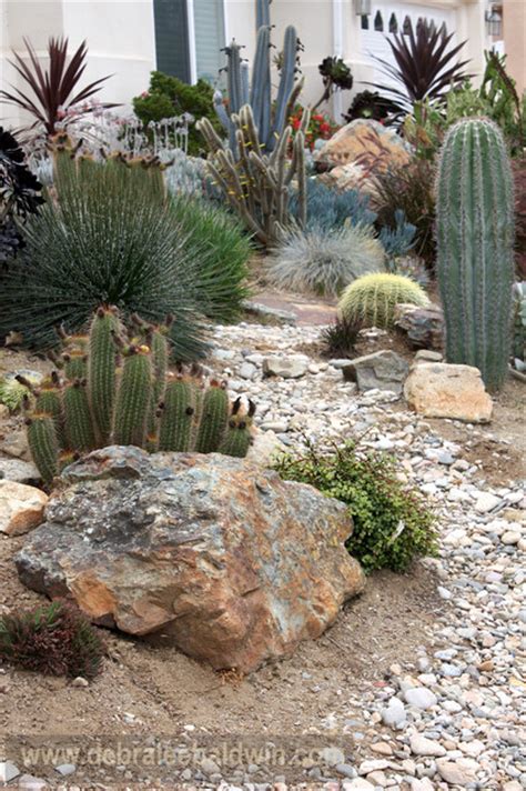 Succulent Gardens Eclectic Landscape San Diego By Debra Lee Baldwin