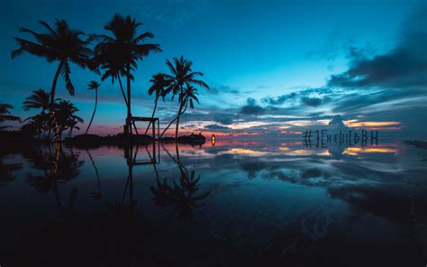 Download Wallpaper 3840x2400 Palm Trees Sunset Ocean Evening Tropics 4k Ultra Hd 1610 Hd