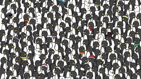 Can You Spot Three Cats Hidden Among Penguins In This Viral Brain