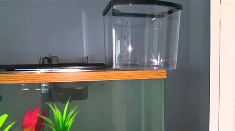 With our fiberglass fish tank in kl, malaysia, you can have your aquarium in cabinets, on the ground or even in wall. Glass vs plastic aquarium fish tank - YouTube