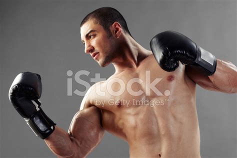 Boxer Punching With Gloves Stock Photo Royalty Free Freeimages
