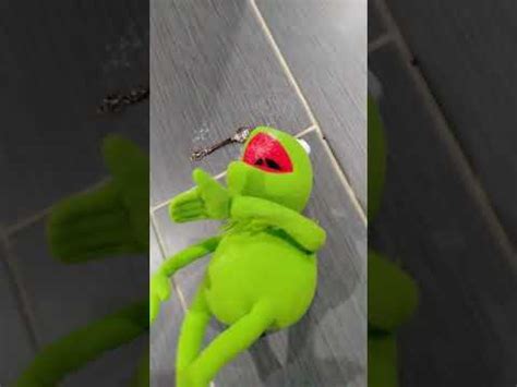 Girls in latex and leather 43 pics. Kermit Is On Crack - YouTube
