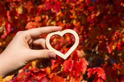 Heart Symbol In The Girl S Hand Against The Background Of Autumn