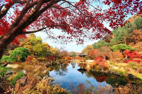 Korea Travel Gyeonggi Do Gapyeong Gun The Garden Of Morning Calm 아침