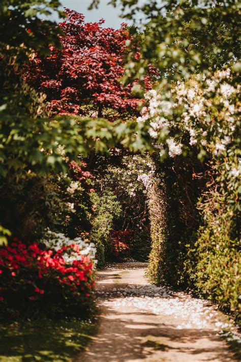 Spring Path Pictures Download Free Images On Unsplash