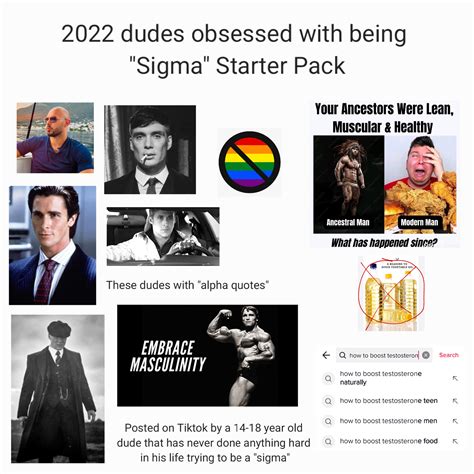2022 Dudes Obsessed With Being Sigma Starter Pack Rstarterpacks