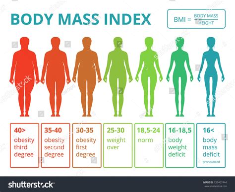 Vektor Stok Medical Infographics Illustrations Female Body Mass Tanpa Royalti