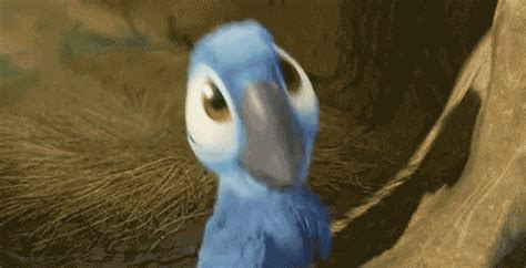 Baby Blue Baby Bird Gif Wifflegif