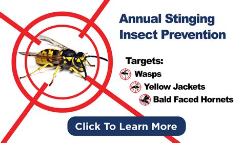 Annual Stinging Insect 2018 Slide American Pest Services