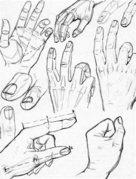 How To Draw Hands Reference Sheets And Guides To Drawing Hands How