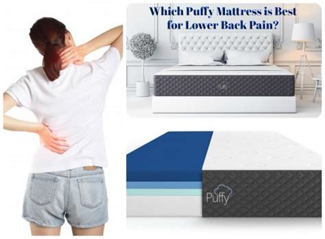 Chronic back pain affects millions of adults in the u.s. Get The Best Spine Support Foam Mattress For Lower Back ...