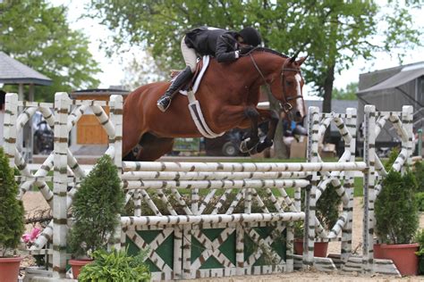 Kelley Farmer Leads Professional Hunter Divisions At Kentucky Spring