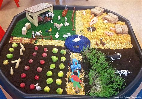 Learning And Exploring Through Play Farm Activities For Preschool