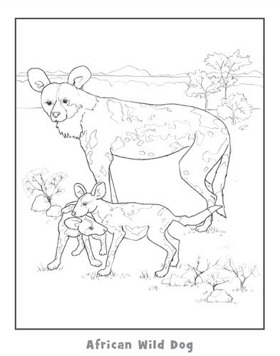 Various wild dog sketches from reference and imagination. The best free African coloring page images. Download from ...