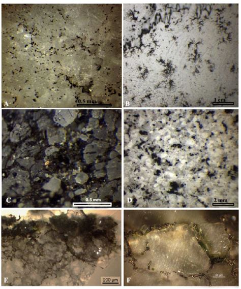 Marble A C And Limestone B D Surfaces Colonized By Black