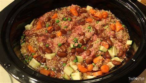 Today we'll make homemade dog food the easy way, with a crockpot! Beef and Rice Crock Pot Homemade Dog Food Recipe (Video)