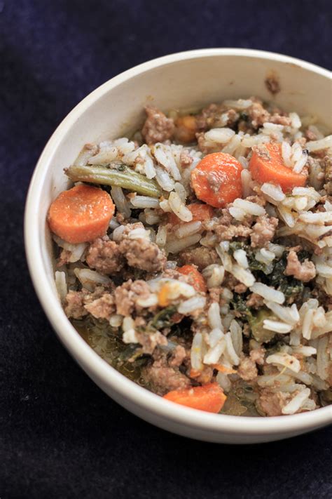 Have you ever tried to make your own cat food? Homemade Dog Food - Emily's Homestead