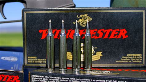 Top 5 Varmint And Predator Cartridges An Official Journal Of The Nra