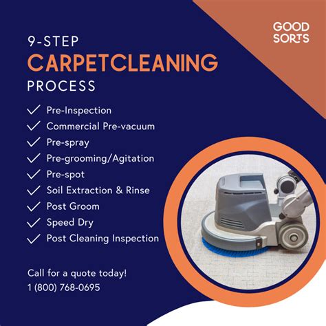 9 Step Carpet Cleaning Process Good Sorts