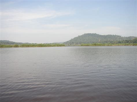 The lake shores are inhabited by the jakun branch of the orang asli. Chini Lake - Wikipedia