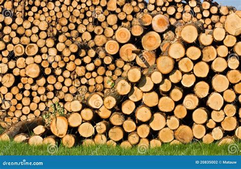 Wood Piles Stock Photo Image Of Stacked Woodpile Lumber 20835002