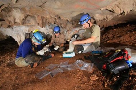What Should Cavers Know And Do In Regard To White Nose Syndrome Us