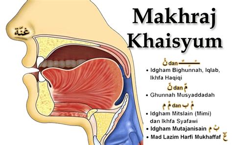 Mad lazim harfi mukhaffaf sila jawab soalan di bawah. Pengertian dan Pengelompokan Makhorijul Huruf ~ POSITIVE ...