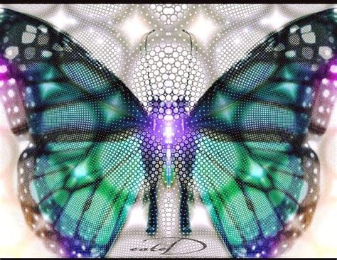 The Symbolic Meaning Of A Butterflys Transformation Elephant Journal