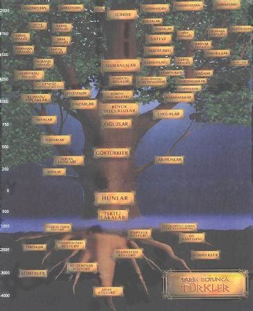 Aile Soy ağacı Örneği