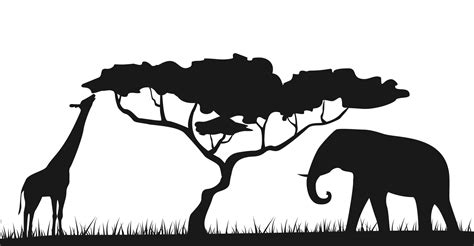 An African Safari Animal Savannah Silhouette Background Landscape Scene