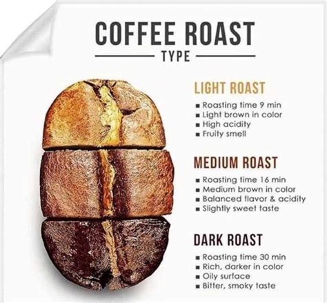 Coffee Roasting Types Light Medium And Dark Roasting Comparison From Professional Barista