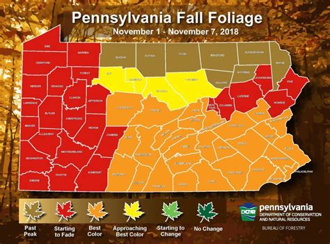 Fall Foliage Finally Pops In Pennsylvania