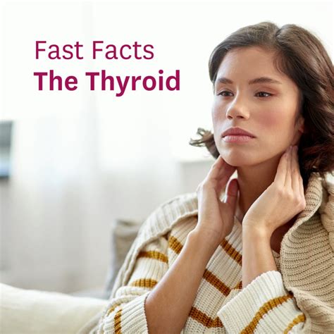 Emblemhealth On Twitter Your Thyroid Gland Plays A Significant Role