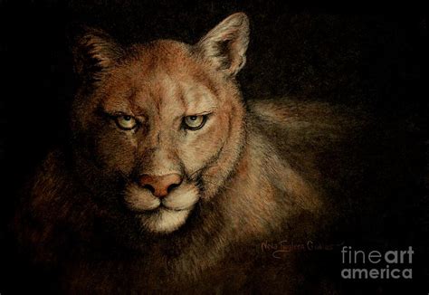 Cougar Eyes Painting By Neva Cruddas